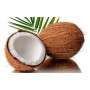 CREMA DE MANOS DE COCO 50 ML