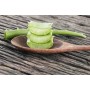 BALSAMO LABIAL ALOE VERA