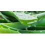 DESODORANTE  DE ALOE VERDA DE INSTITUTO ESPAÑOL