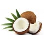 CREMA HIDRATANTE CORPORAL CON ACEITE DE COCO 500ML