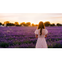 AMBIENTADOR MIKADO PRADY DE LAVANDA HOGAR