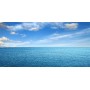 HOME SPLASH AMBIENTADOR DE OCEANO