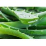 PARCHE DE OJOS ALOE VERA PARA OJERAS