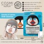MASCARILLA FACIAL CARA DE PUINGUINO HIDRATANTE