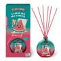 AMBIENTADOR THE FRUIT COMPANY DE SANDIA