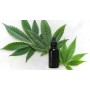 SERUM FACIAL CANABBIS RESTAURADOR ANTIOXIDANTE 30 ML