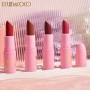 MIX PALETA SOMBRAS  LABIALES STANDAR