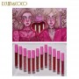 KIT DE 12 LABIALES DE VARIOS COLORES